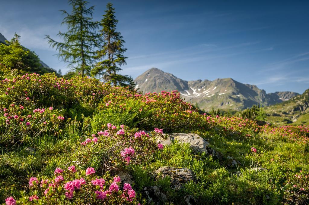 Ramsau Aparthotel Ramsau am Dachstein